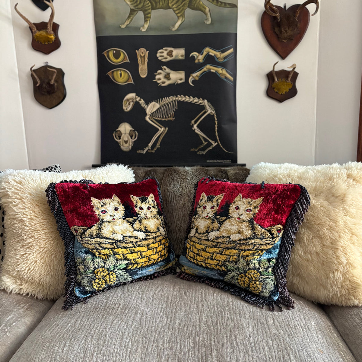 Red Eyed Kitty Pillow