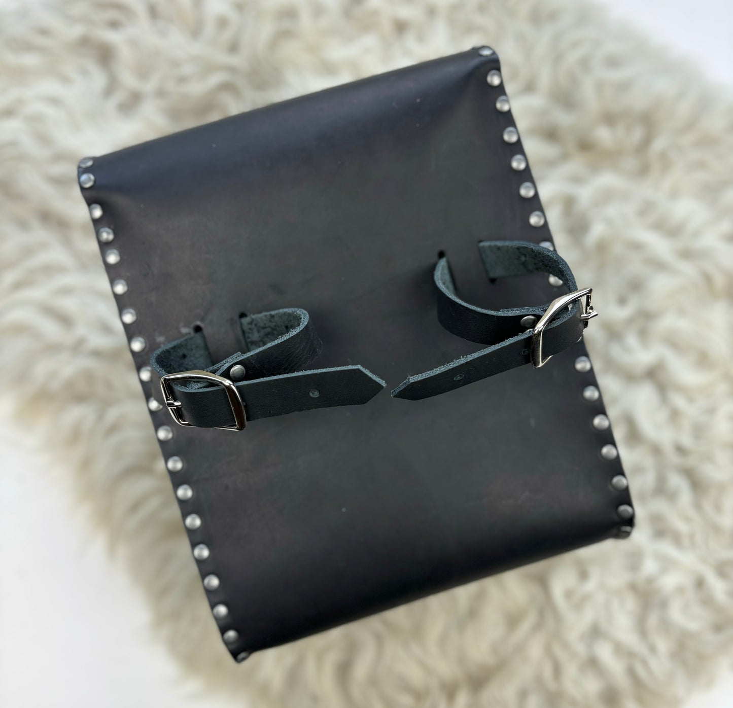 Black Leather Sissy Bar Bag